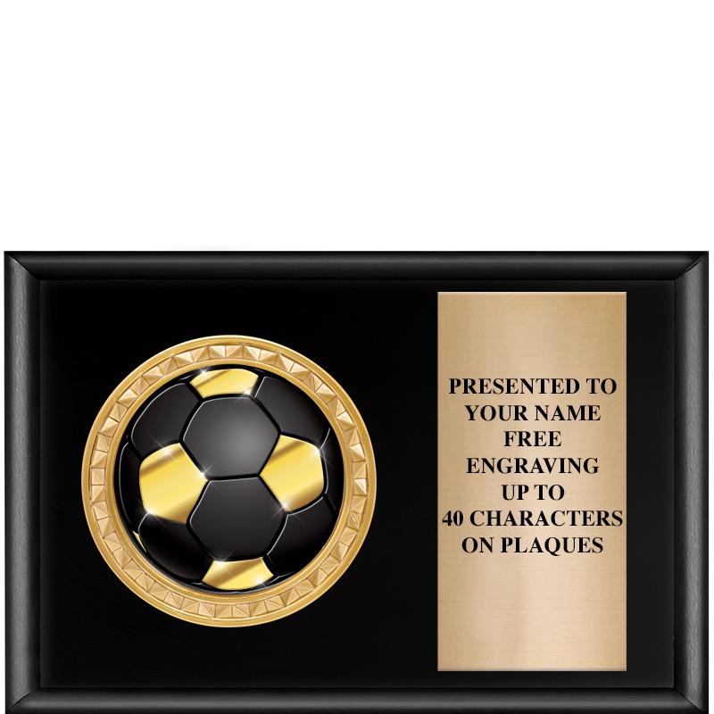 6" X 4" SHINY BLK INSERT PLQ