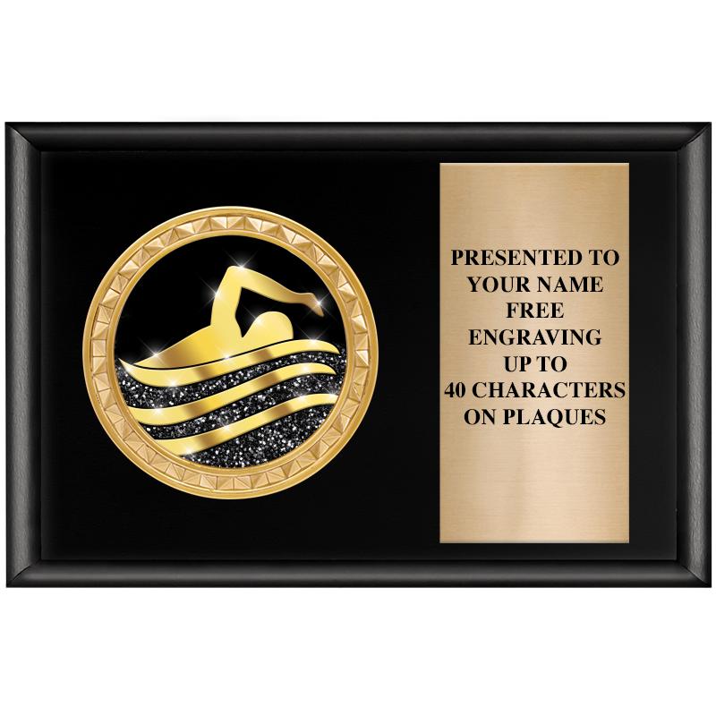 6" X 4" SHINY BLK INSERT PLQ