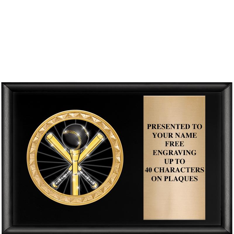 6" X 4" SHINY BLK INSERT PLQ