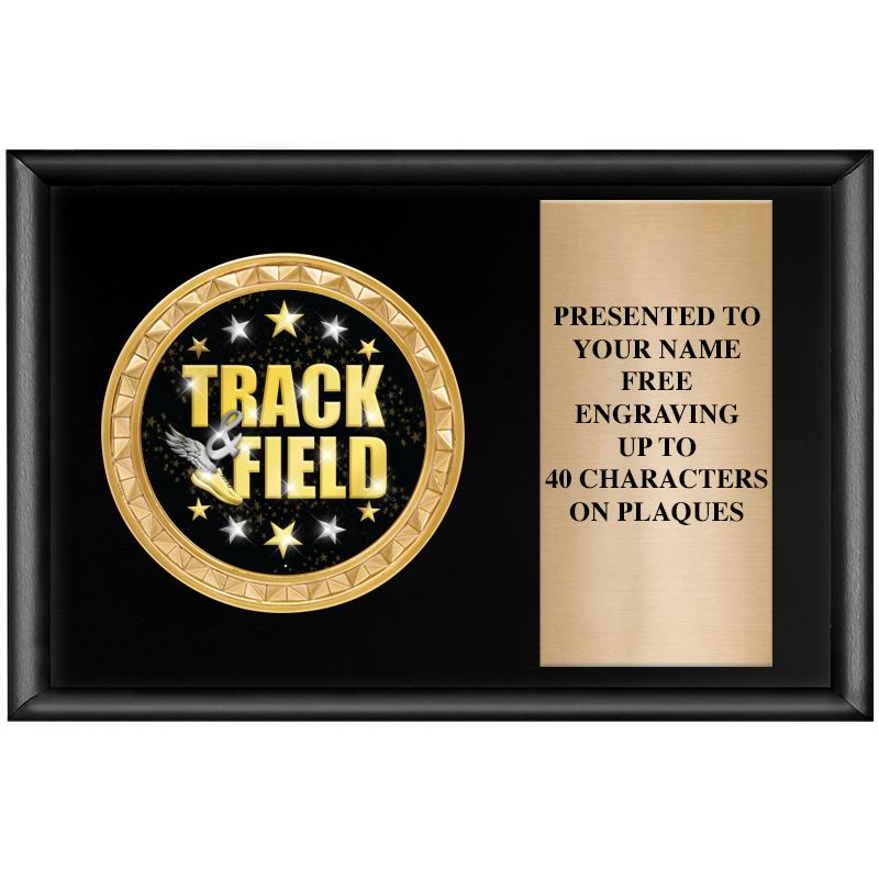 6" X 4" SHINY BLK INSERT PLQ