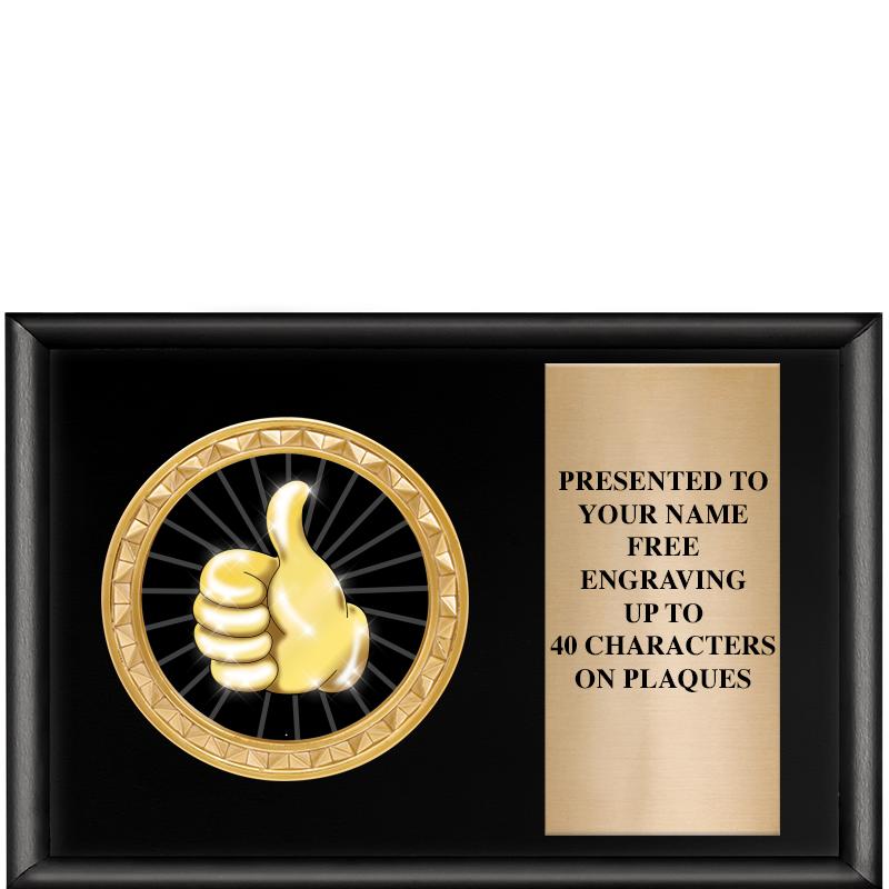 6" X 4" SHINY BLK INSERT PLQ