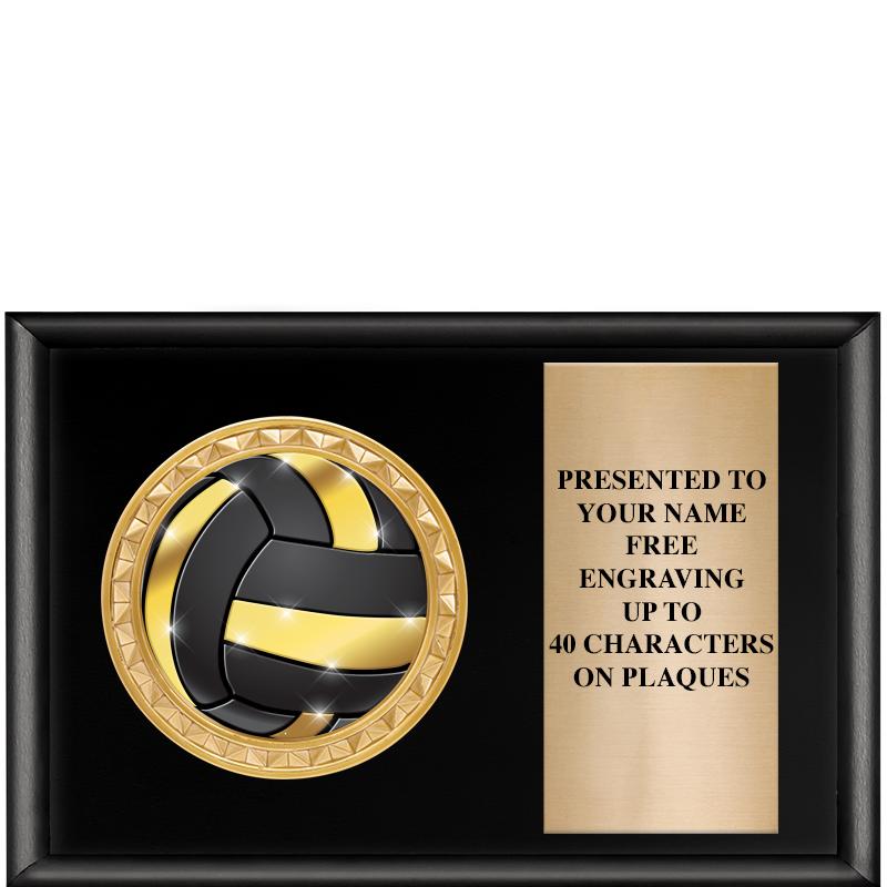 6" X 4" SHINY BLK INSERT PLQ