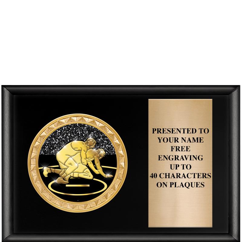 6" X 4" SHINY BLK INSERT PLQ