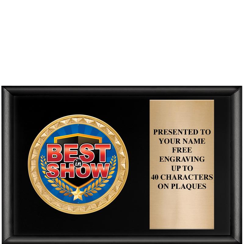 6" X 4" SHINY BLK INSERT PLQ