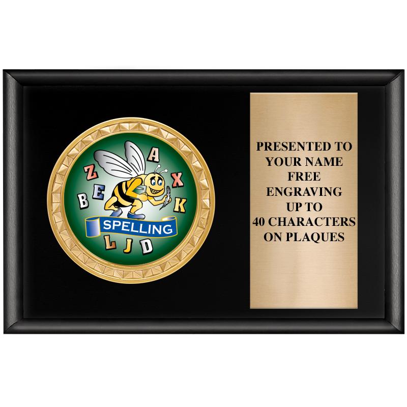 6" X 4" SHINY BLK INSERT PLQ