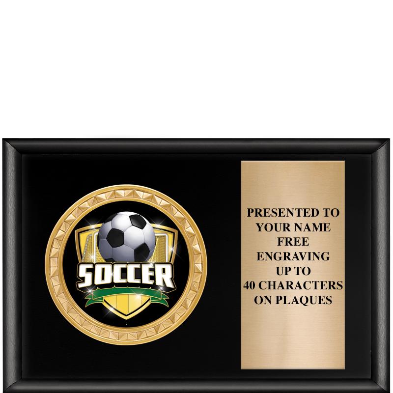 6" X 4" SHINY BLK INSERT PLQ