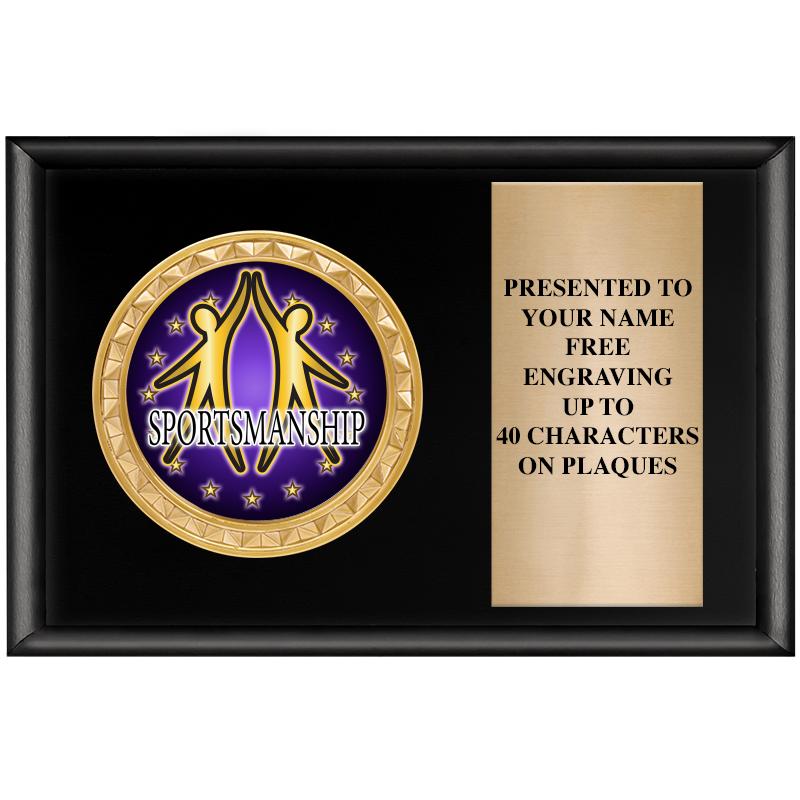 6" X 4" SHINY BLK INSERT PLQ