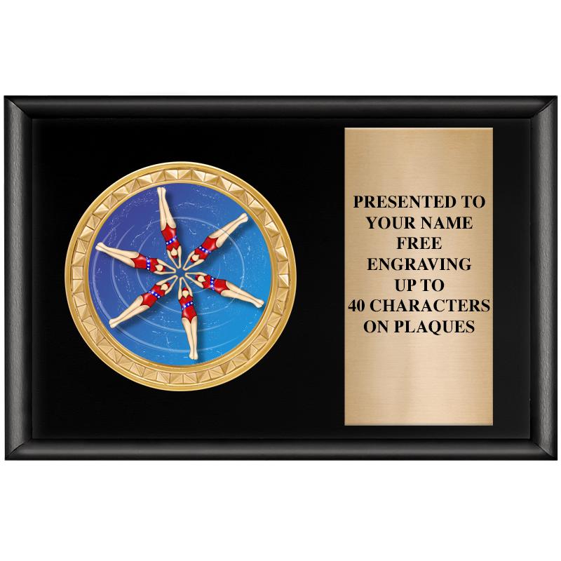 6" X 4" SHINY BLK INSERT PLQ