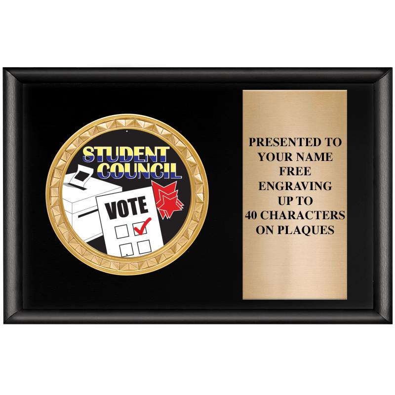 6" X 4" SHINY BLK INSERT PLQ