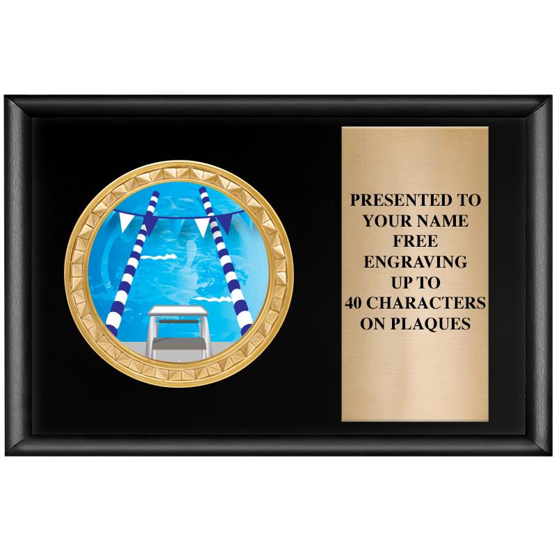 6" X 4" SHINY BLK INSERT PLQ