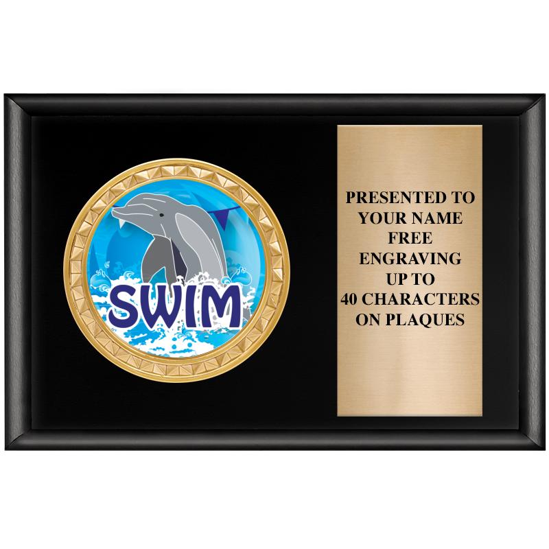6" X 4" SHINY BLK INSERT PLQ