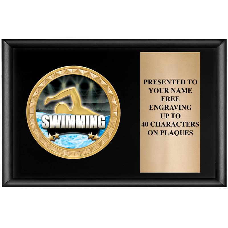 6" X 4" SHINY BLK INSERT PLQ