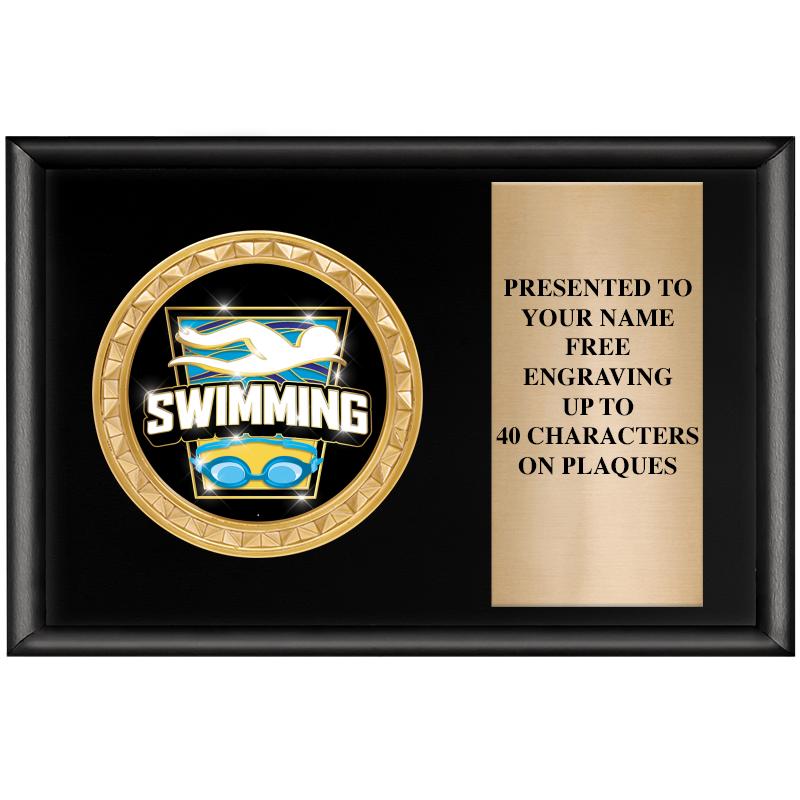 6" X 4" SHINY BLK INSERT PLQ