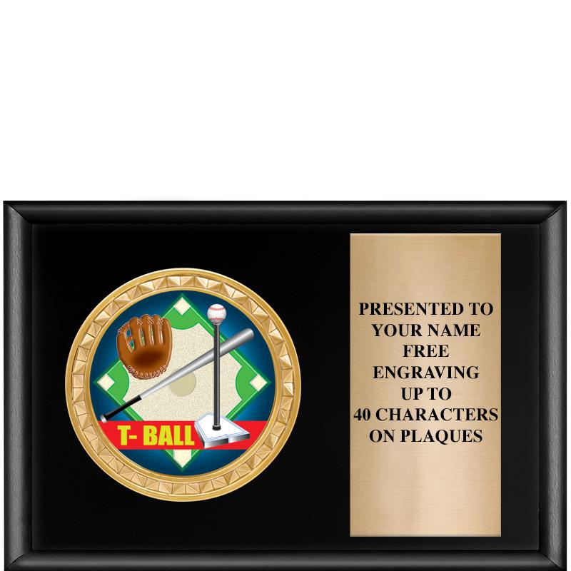 6" X 4" SHINY BLK INSERT PLQ