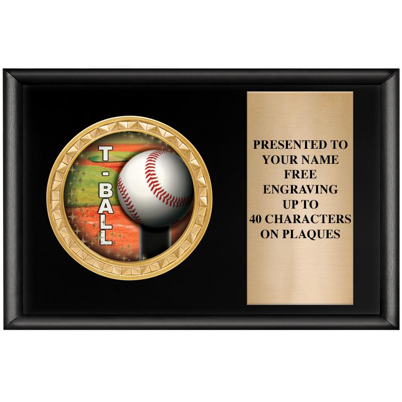 6" X 4" SHINY BLK INSERT PLQ