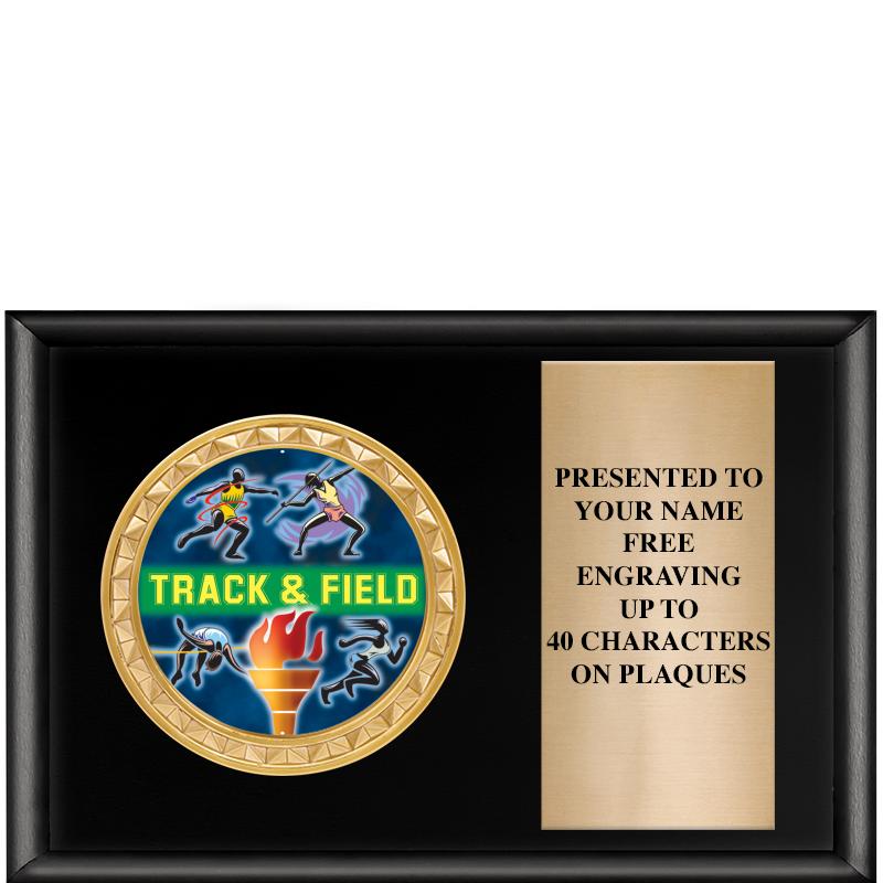 6" X 4" SHINY BLK INSERT PLQ