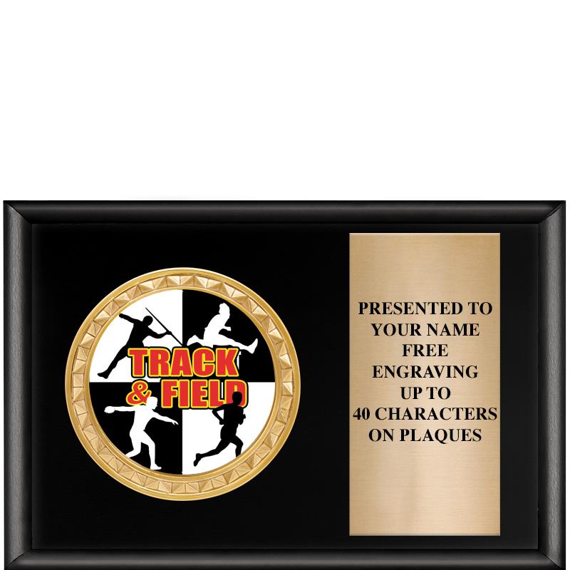 6" X 4" SHINY BLK INSERT PLQ