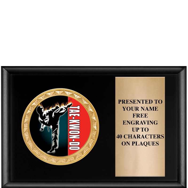 6" X 4" SHINY BLK INSERT PLQ