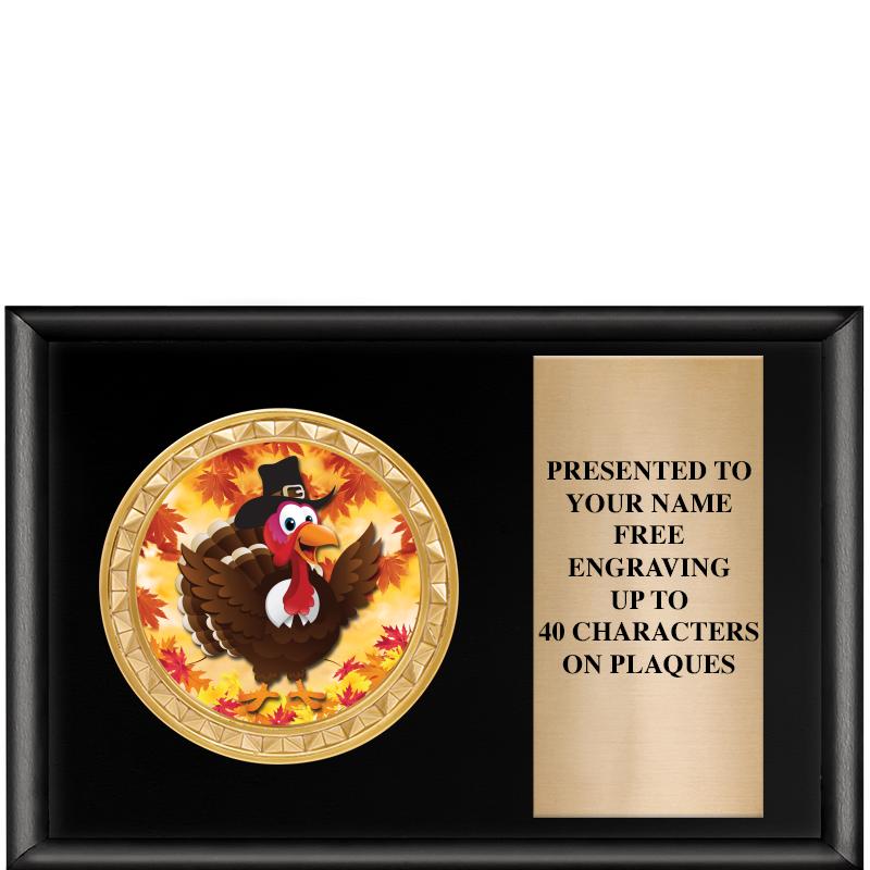 6" X 4" SHINY BLK INSERT PLQ