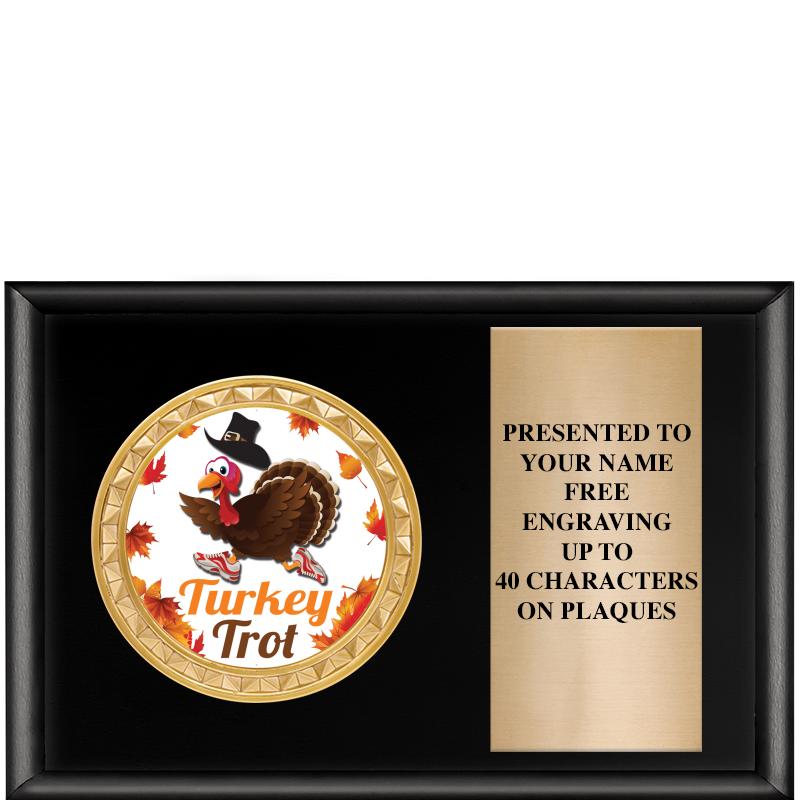 6" X 4" SHINY BLK INSERT PLQ