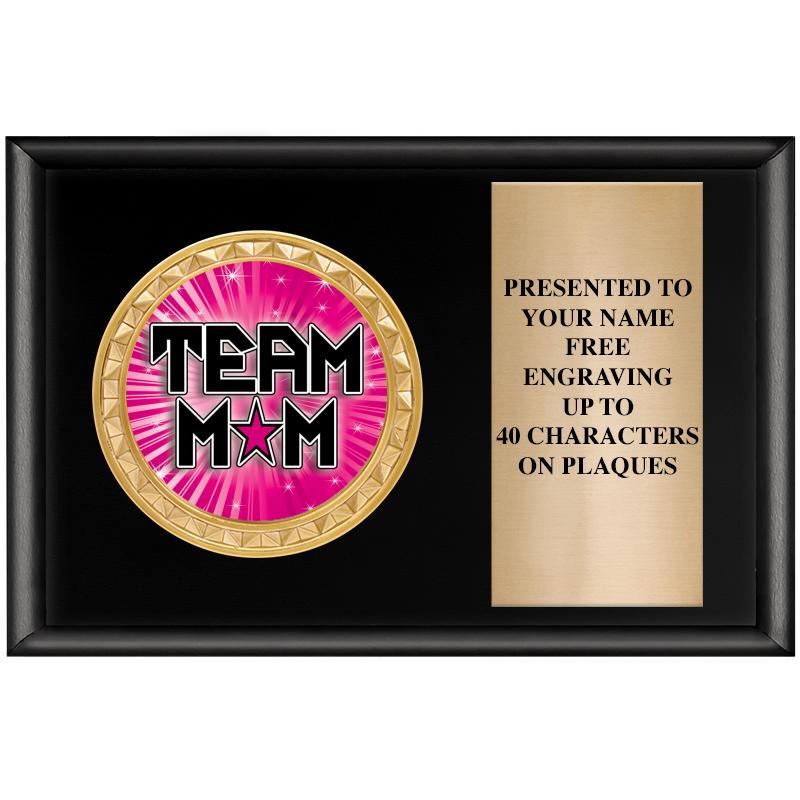 6" X 4" SHINY BLK INSERT PLQ