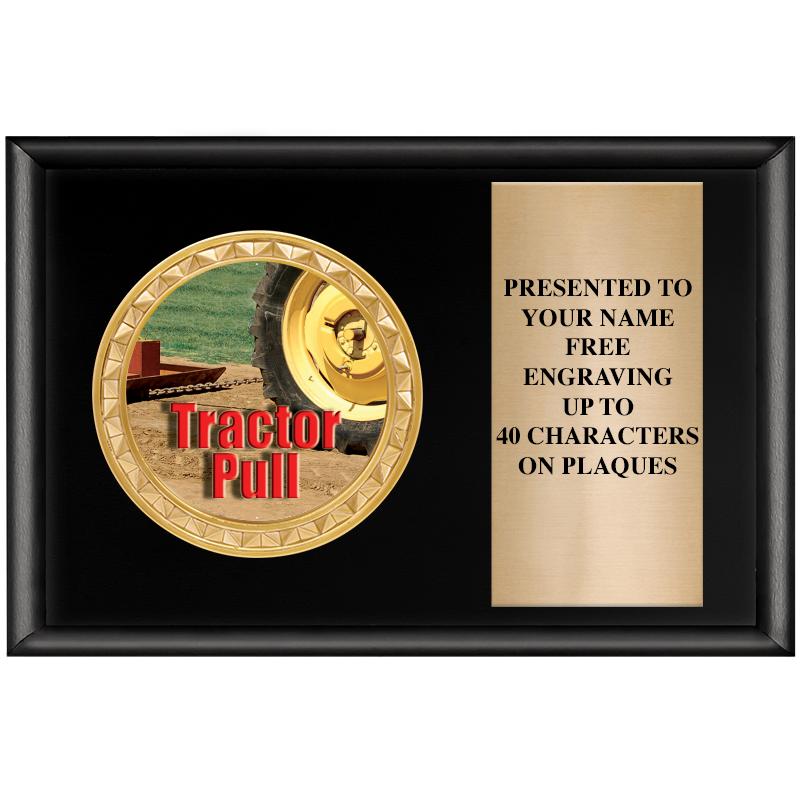 6" X 4" SHINY BLK INSERT PLQ