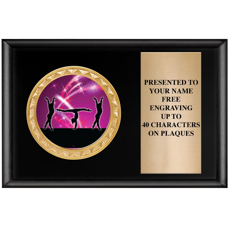 6" X 4" SHINY BLK INSERT PLQ