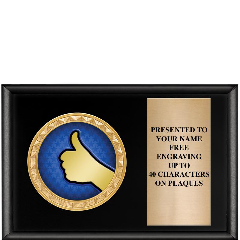 6" X 4" SHINY BLK INSERT PLQ