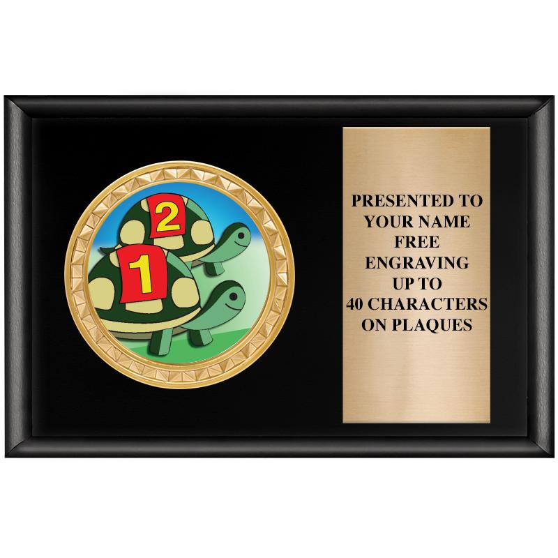 6" X 4" SHINY BLK INSERT PLQ