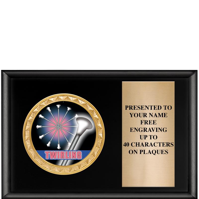 6" X 4" SHINY BLK INSERT PLQ