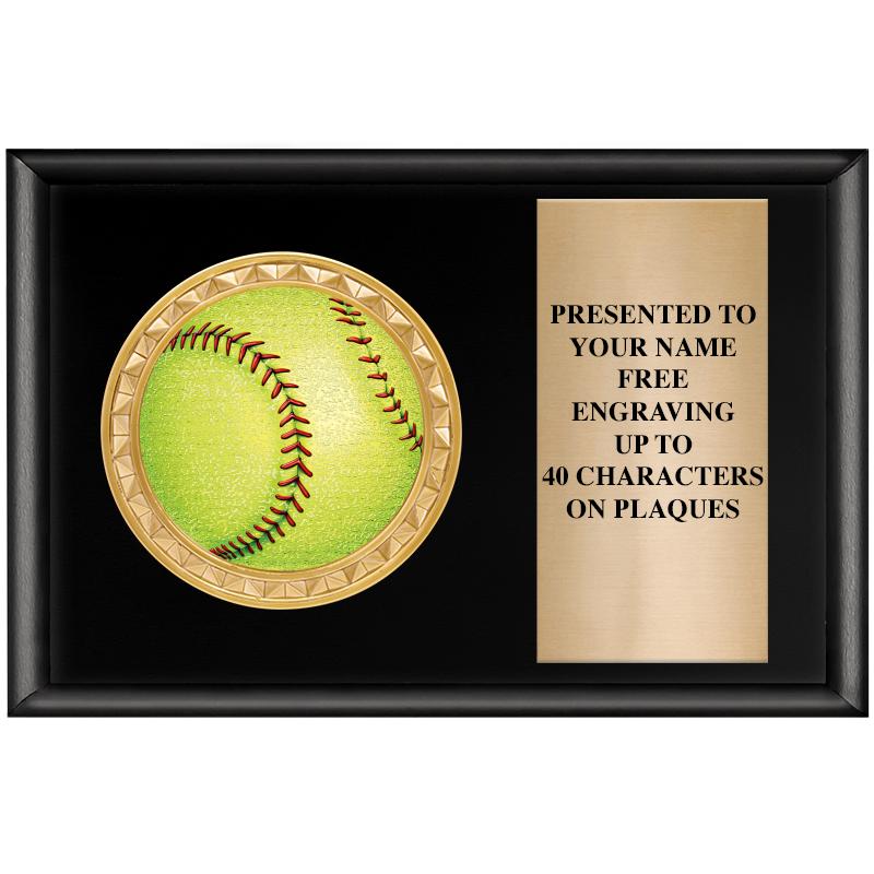 6" X 4" SHINY BLK INSERT PLQ