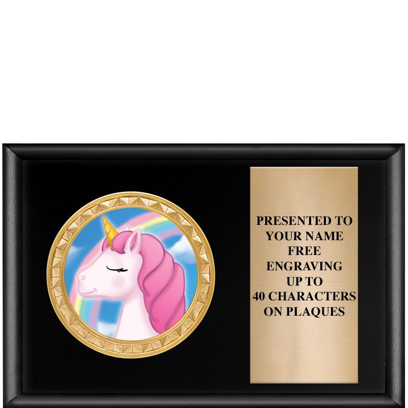 6" X 4" SHINY BLK INSERT PLQ