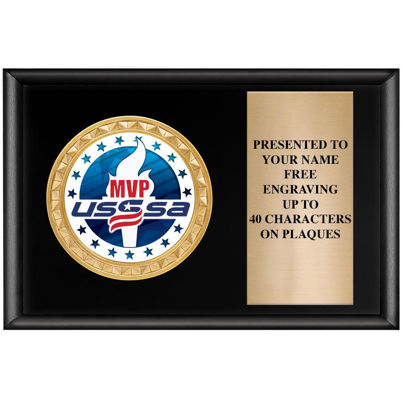 6" X 4" SHINY BLK INSERT PLQ