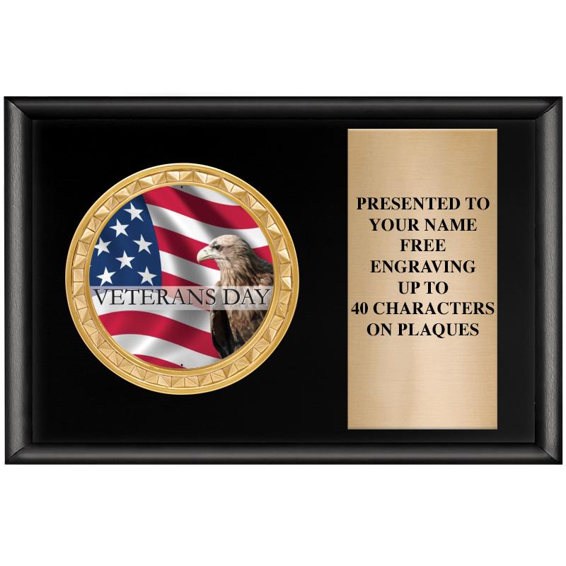 6" X 4" SHINY BLK INSERT PLQ