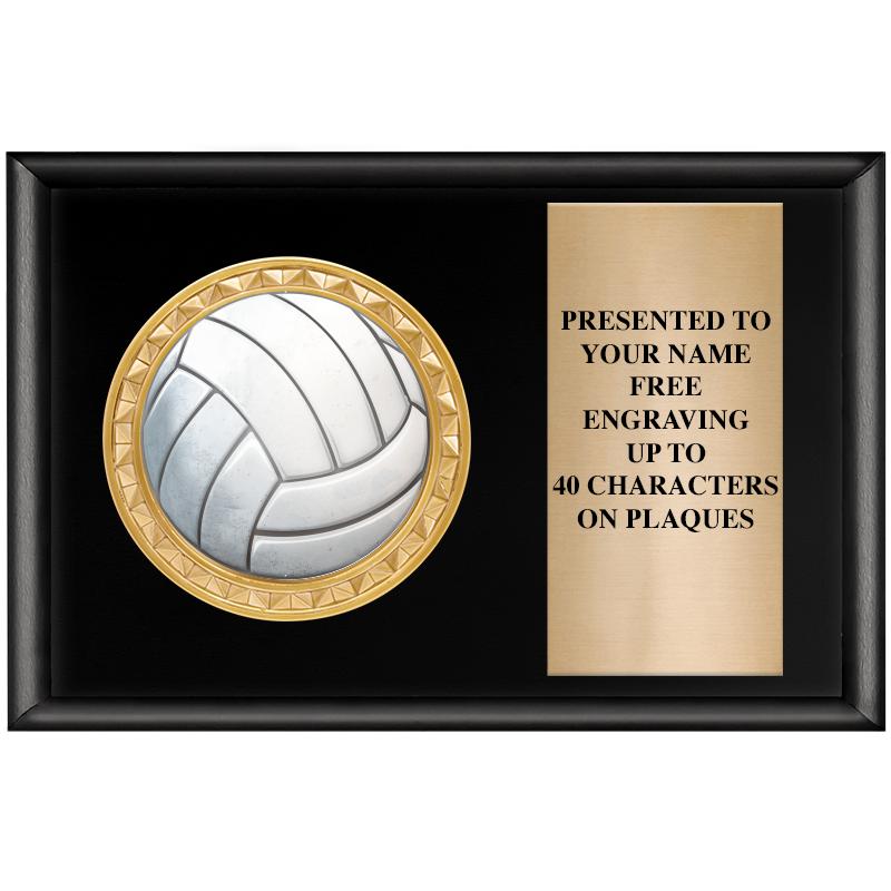 6" X 4" SHINY BLK INSERT PLQ