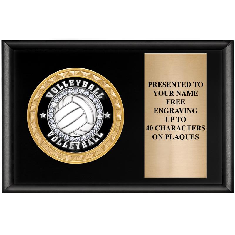 6" X 4" SHINY BLK INSERT PLQ