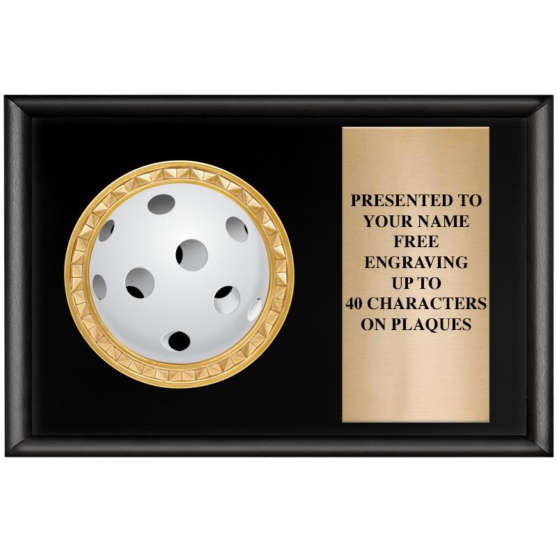 6" X 4" SHINY BLK INSERT PLQ