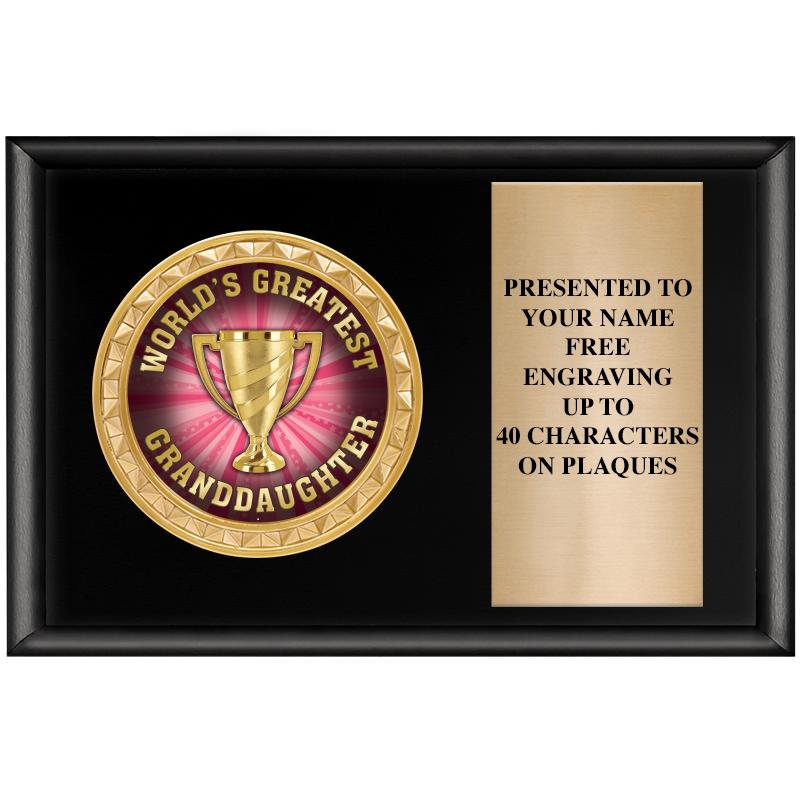 6" X 4" SHINY BLK INSERT PLQ