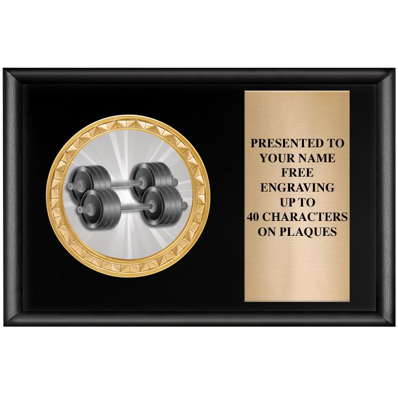 6" X 4" SHINY BLK INSERT PLQ