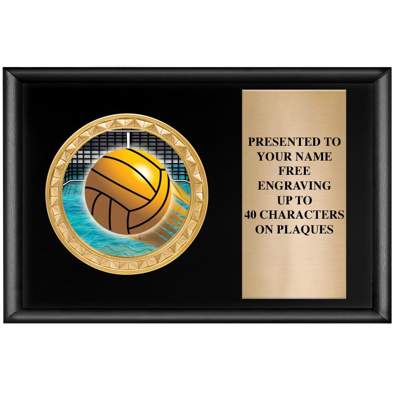 6" X 4" SHINY BLK INSERT PLQ