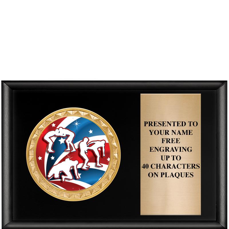 6" X 4" SHINY BLK INSERT PLQ