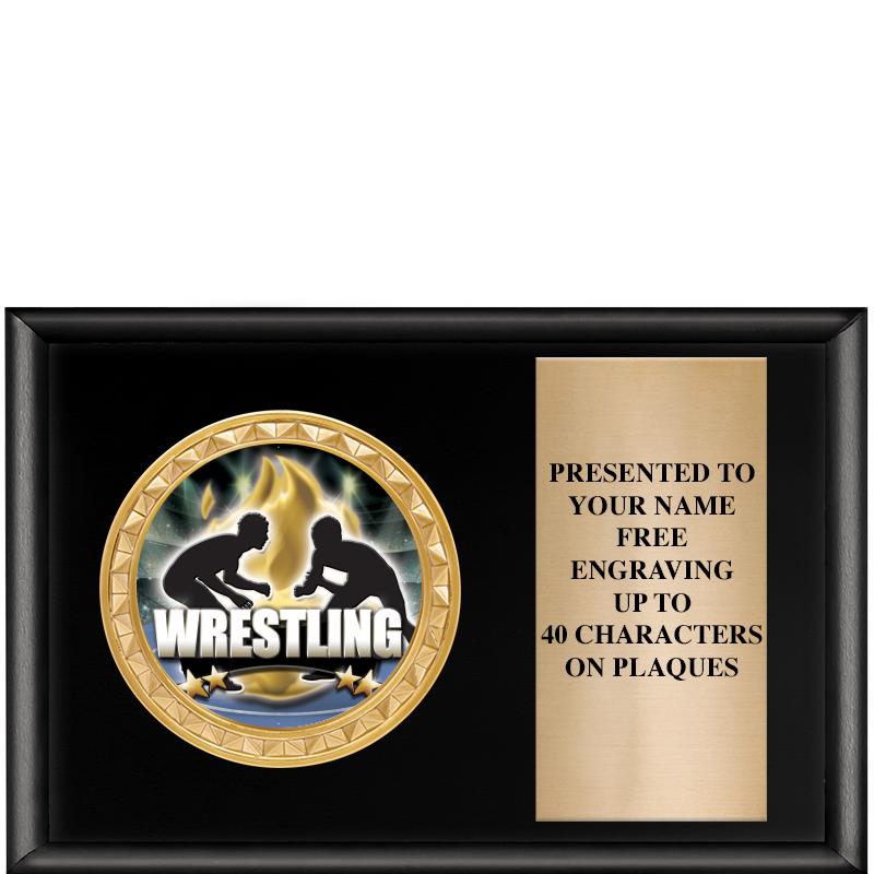 6" X 4" SHINY BLK INSERT PLQ