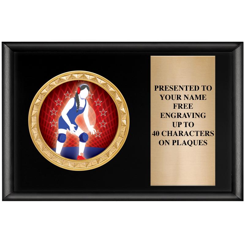 6" X 4" SHINY BLK INSERT PLQ