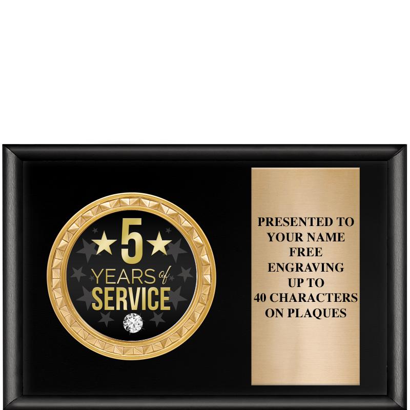 6" X 4" SHINY BLK INSERT PLQ