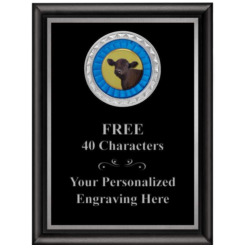 6X8 BLK SHINY EXEC INS PLQ SV