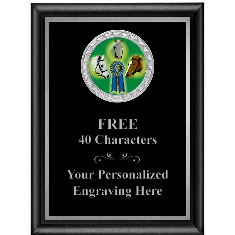 6X8 BLK SHINY EXEC INS PLQ SV