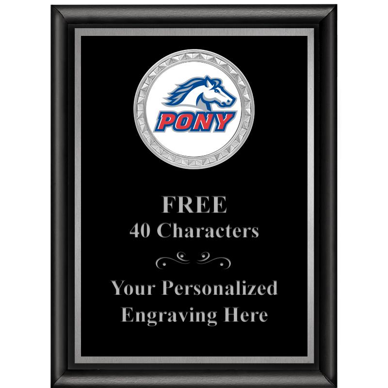 6X8 BLK SHINY EXEC INS PLQ SV