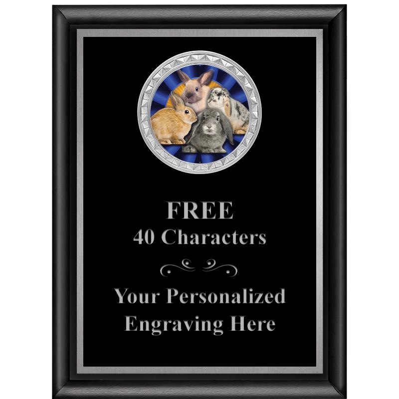 6X8 BLK SHINY EXEC INS PLQ SV