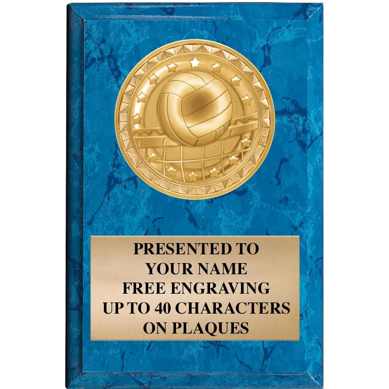 4" X 6" BLUE MBL INSERT PLQ