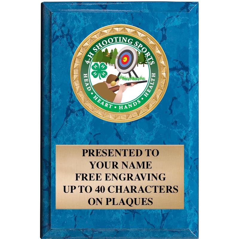 4" X 6" BLUE MBL INSERT PLQ